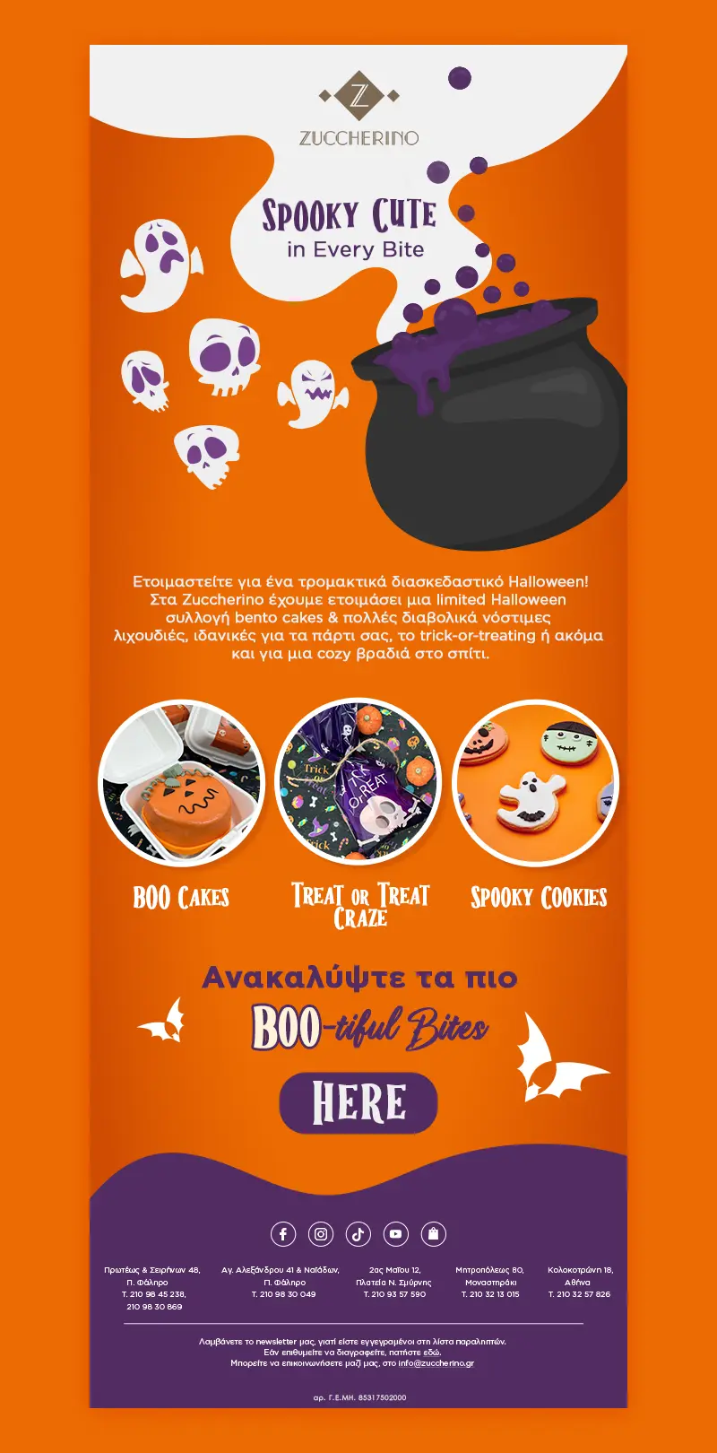 Zuccherino Email Marketing